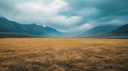 Obraz premium A vast grassland lies between mountains under a cloudy sky