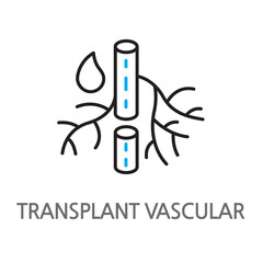 20.TRANSPLANT VASCULAR.eps.Vascular, transplant. Vascular transplant icon. Vascular transplant linear illustration icon on a white background. EPS, PNG, JPG