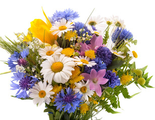 Spring wildflowers bouquet, isolated on white background