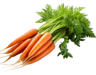 Business handshake with success icons, isolated on white background