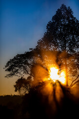 Sunrise behind pine tree at Chae Son National Park, Chae Son National Park is the hot spring travel location.