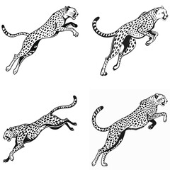 Obraz premium Dynamic Cheetah Silhouettes Speed and Power in Motion.