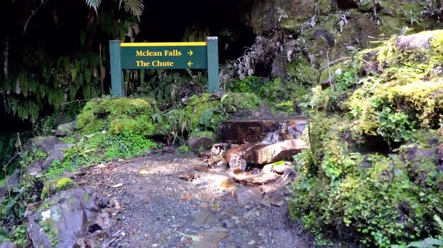 Signpost Along the Trail Between McLean Falls and The Chute Falls - Scenic Hiking Path