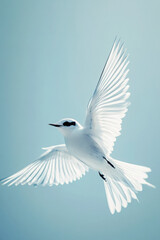 Obraz premium A graceful white bird with outstretched wings soars elegantly against a clear blue sky, symbolizing freedom and peace.