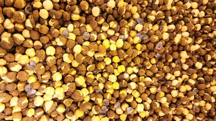Chickpeas are plants belonging to the Fabaceae family that produce small, yellowish pods.