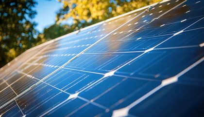 Households using solar energy to reduce electricity bills, Solar Energy Usage, Green and costsaving