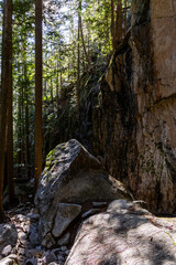 Sunlit Forest and Cliffside Scene at Chief Mountain in Squamish, BC, Canada