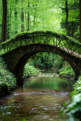 A picturesque stone bridge covered in ivy arches over a tranquil stream in a lush green forest, creating a serene and enchanting natural setting.