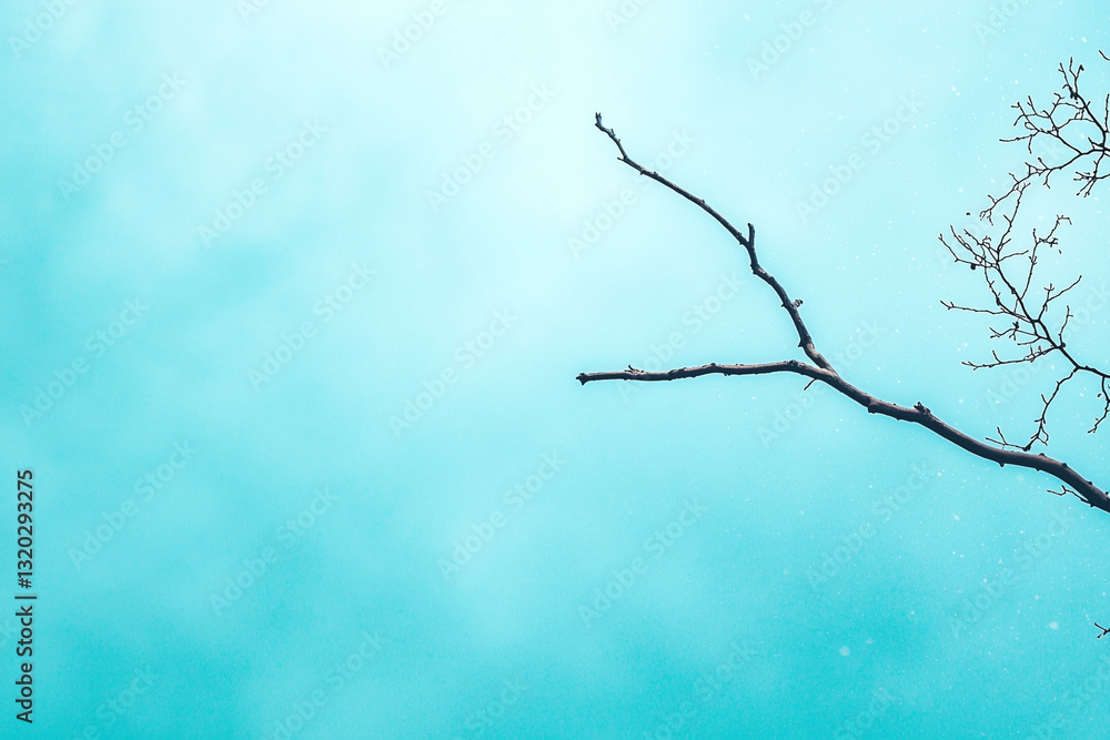 Aufkleber serene sky background with gentle snowfall and bare tree branch reaching into frame