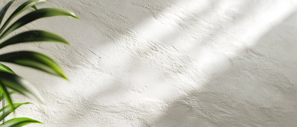 Aufkleber textured white wall is illuminated by soft natural light, casting gentle shadows from nearby plant, 