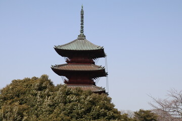 Obraz premium 池上本門寺五重塔。