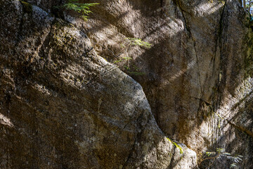 Rocky Cliff Face with Greenery in Chief Mountain, Squamish, BC, Canada