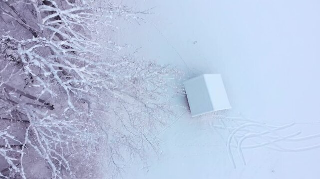 Aerial: zenital shot of a snowy cabin in the Alps by a tree