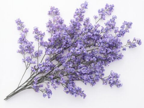 Delicate arrangement of violet statice flowers on a serene white backdrop