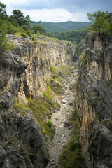 Majestic canyon landscape with rocky cliffs and lush greenery under a cloudy sky, showcasing nature's raw beauty and rugged terrain.