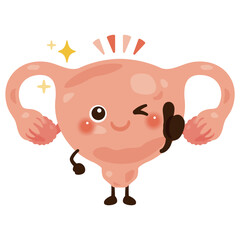 グッドサインを出す子宮のキャラクターイラスト
