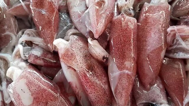 Squid. Fresh sea fish sold in the market. Traditional Indonesian market