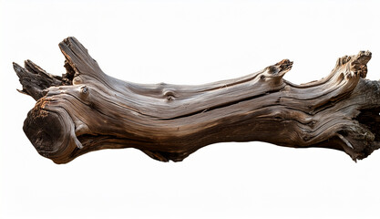 Fototapeta premium Weathered Wooden Log