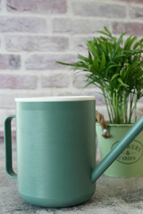 Modern green watering can beside potted plant on a textured background