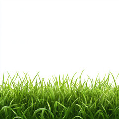 green grass isolated on white