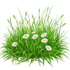 grass and daisy