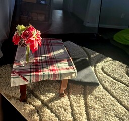 cozy moments at home afternoon sunshine