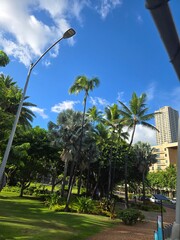 the natural beauty of Hawaii