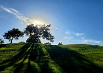 peaceful moments of afternoon sunshine