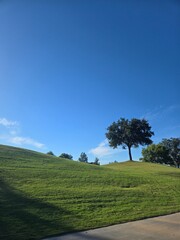 peaceful moments of afternoon sunshine