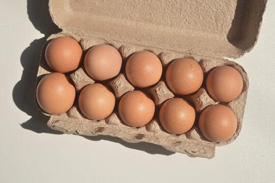 a carton of eggs, a box of eggs, tray of eggs. Conceptual photo of the rising price of eggs, egg shortage. 