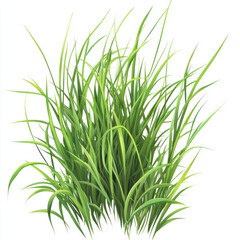 Naklejka premium green grass on white background