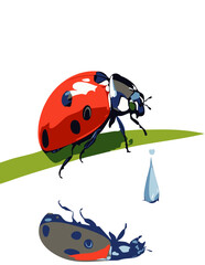 Fototapeta premium A minimalist and modern vector illustration of a ladybug perched on a green blade of grass, with its reflection mirrored below, creating a striking and elegant nature-inspired composition.