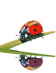 A minimalist and modern vector illustration of a ladybug perched on a green blade of grass, with its reflection mirrored below, creating a striking and elegant nature-inspired composition.

