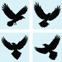 Obraz premium Flying Raven Silhouette vector illustration