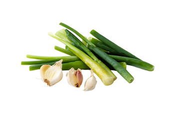 Chopped fresh ripe scallion and garlic isolated on white background. 