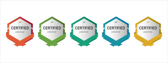 Set certificate badge hexagon template vector illustration
