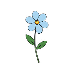 forget me not flower on a white background.