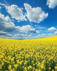 Vibrant Yellow Flower Field Under Bright Blue Sky with Fluffy Clouds in a Lush Green Landscape