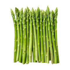 Fresh green asparagus arranged neatly on transparency background