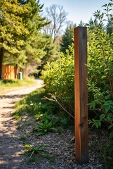 Sun-kissed Wooden Post Along a Serene Forest Path