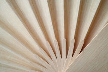 Bamboo Fan Close-up for Texture, Light Beige.