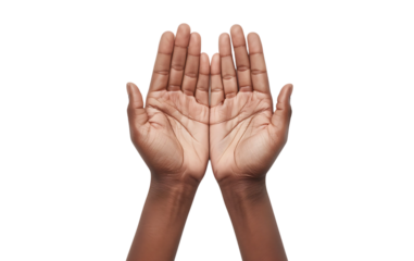 Open Palms: Two hands, palms facing upward, are presented in a gesture of offering, acceptance, or supplication, creating a sense of invitation and accessibility.