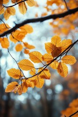 Autumn Forest with Golden Oak Leaves and Sunlight in a Serene Landscape