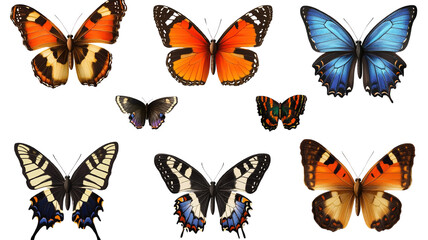 A collection of delicate butterflies with intricate wing patterns, isolated on a transparent PNG, showcasing their natural beauty in flight.