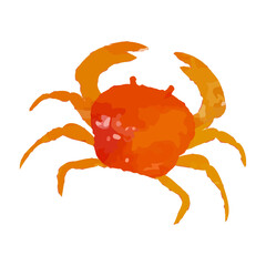 Vector illustration of a collaged crab. Sea creature painted with watercolors or crayons.