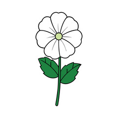 hollyhock flower on a white background.          