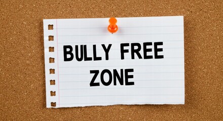 A message about the anti bullying zone