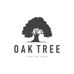Obraz premium oak logo design simple illustration of oak tree and oak leaf simple with black silhouette concept plant template symbol