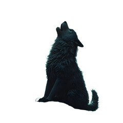 Obraz premium Digital art of a wolf howling at the moon in a dark forest, isolated on transparent background.