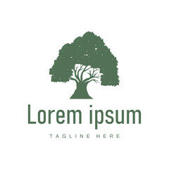 oak logo design simple illustration of oak tree and oak leaf simple with black silhouette concept plant template symbol